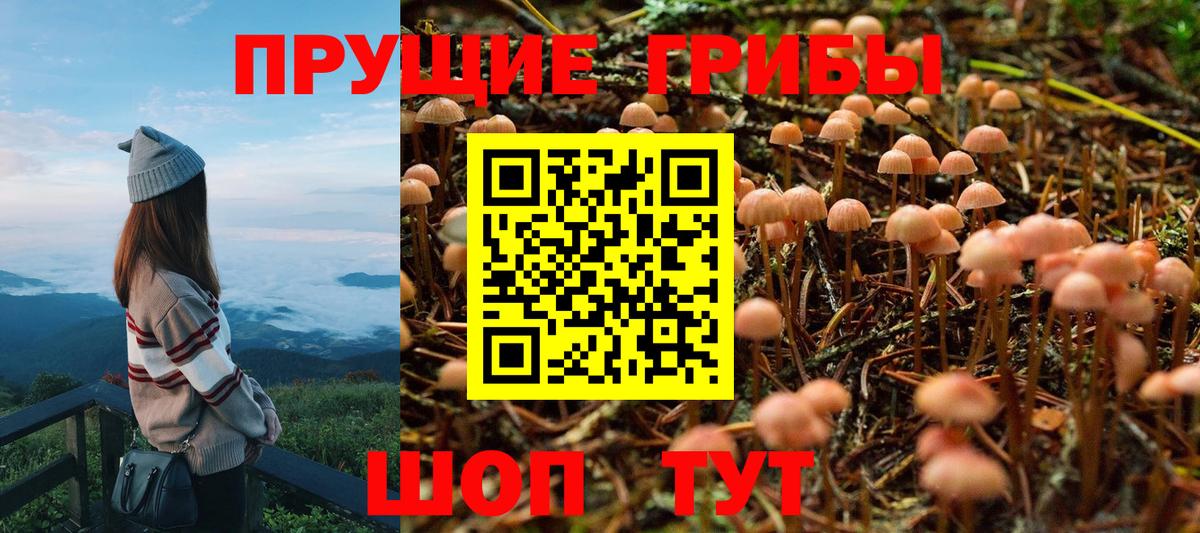 Галлюциногенные грибы Cubensis Джанкой